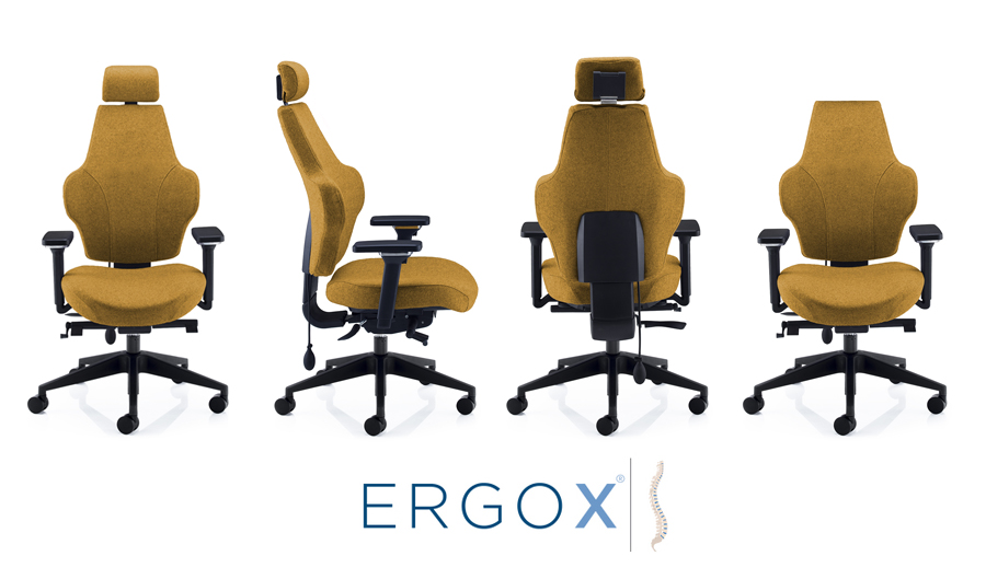 Ergox_3.jpg