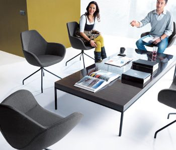 Conference & Meeting