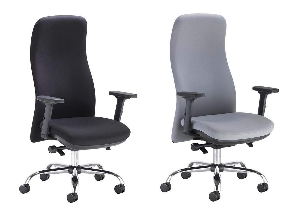 ergonomic_posture_tc.jpg